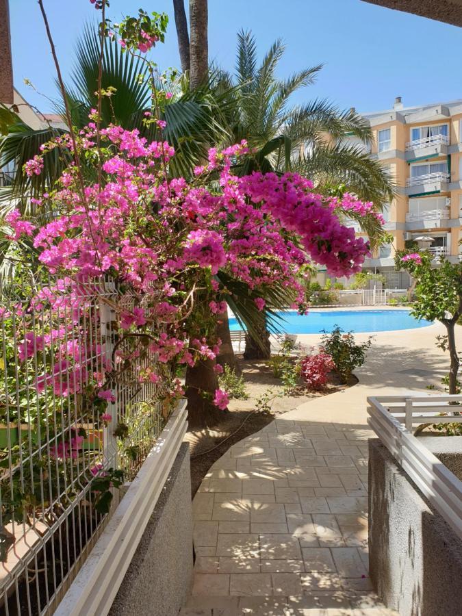 Estrella Home سالو المظهر الخارجي الصورة